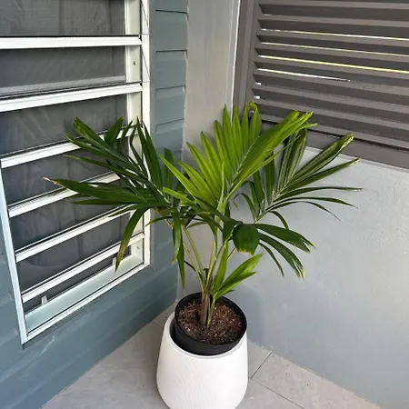 Xoop Homes - Zinnia #2